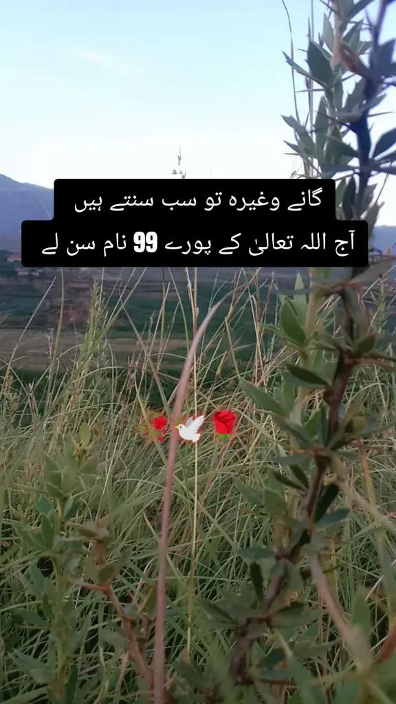 @✨Zahir_khan✨