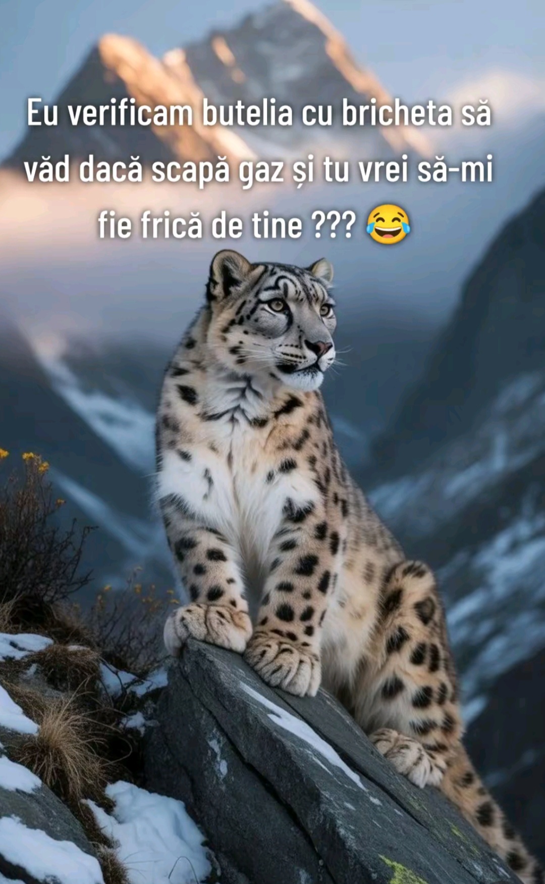 @eu sunt bn &icirc;n felul meu😉👑