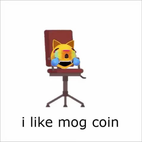@wellnesskoenig