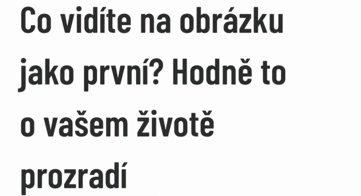 @Zvonilka