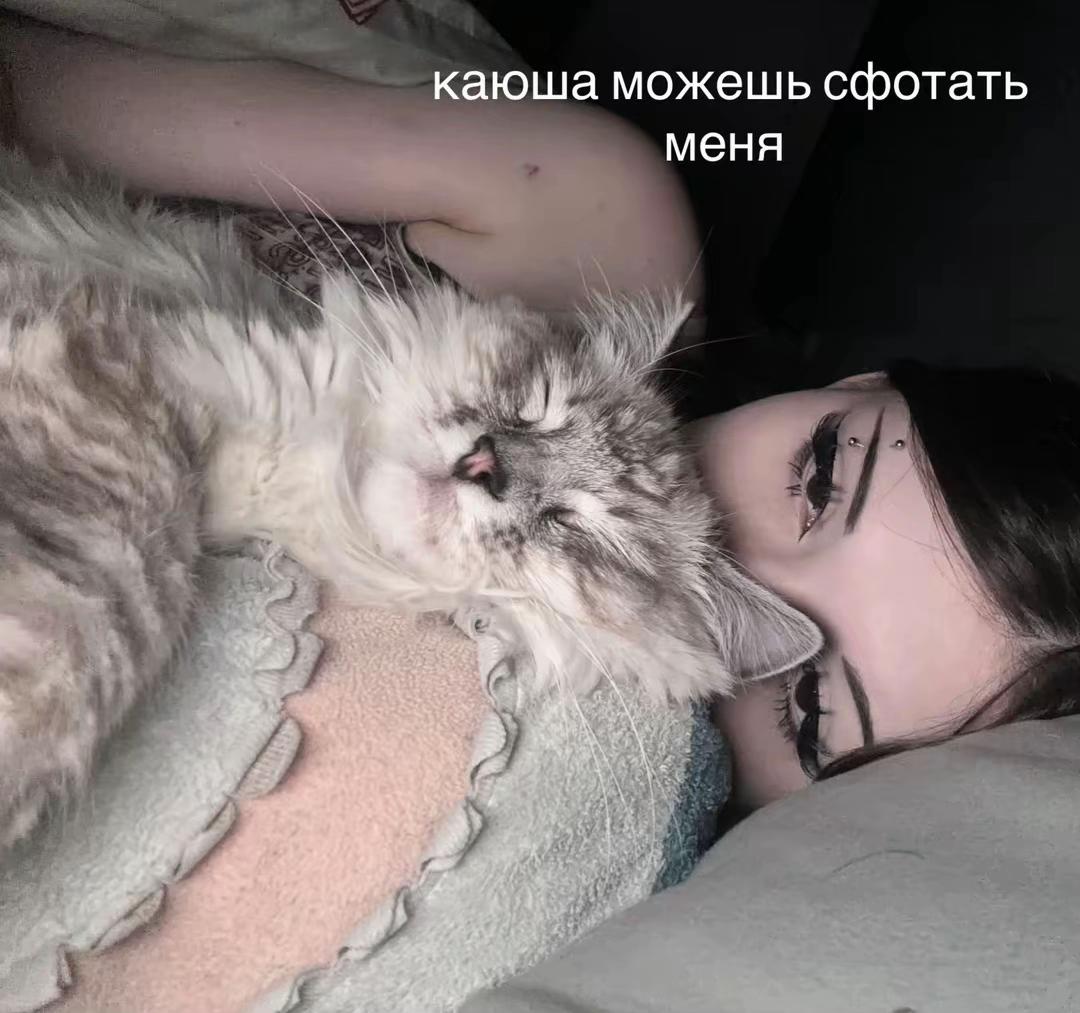 @ликс3рл