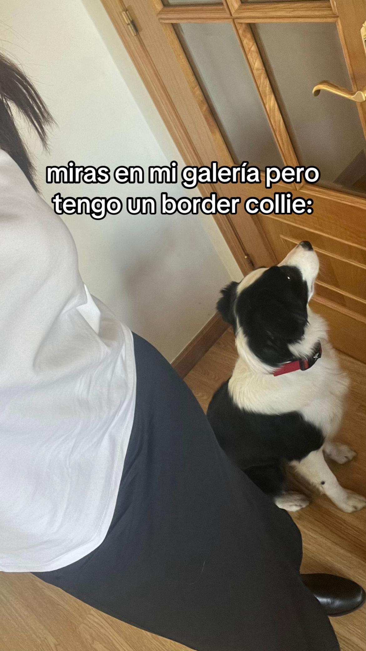 @F á t i m a