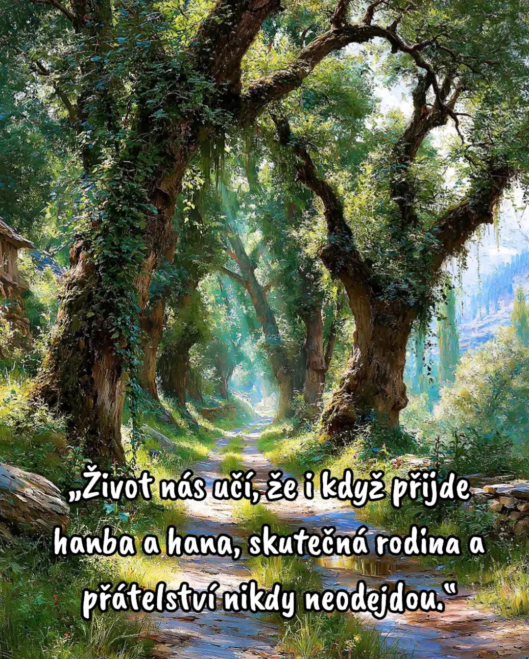 @🇨🇿 J&aacute;ry Ruky🕺