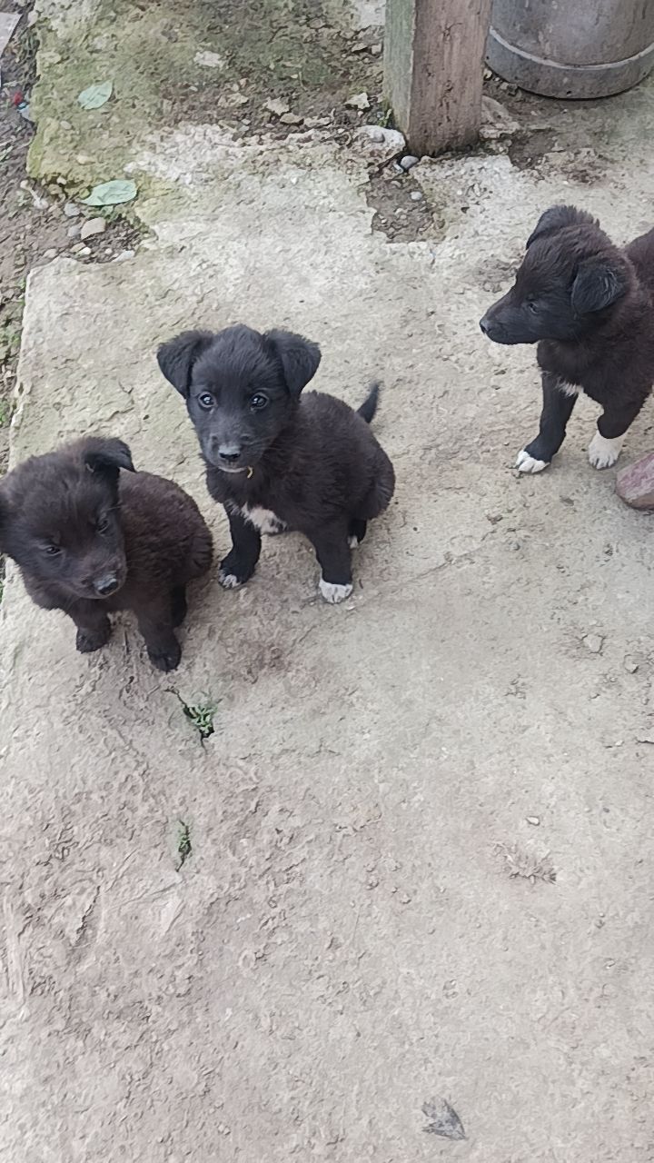 @Simona🥰 pascu
