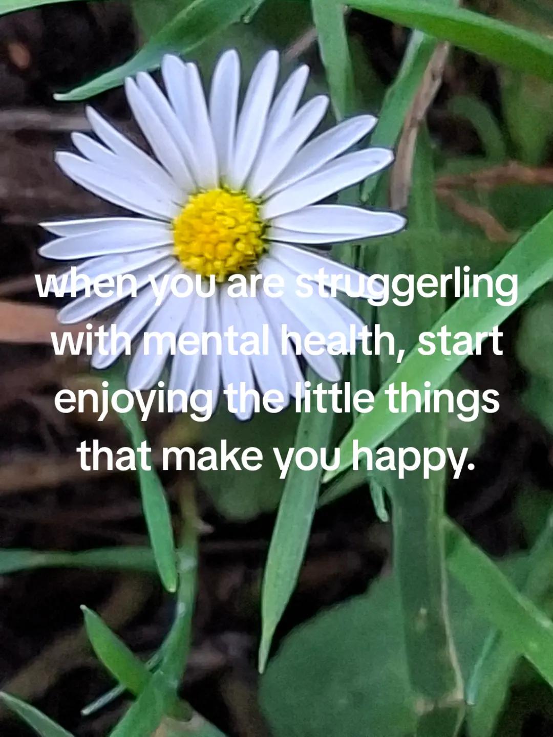 @Michelle Weller