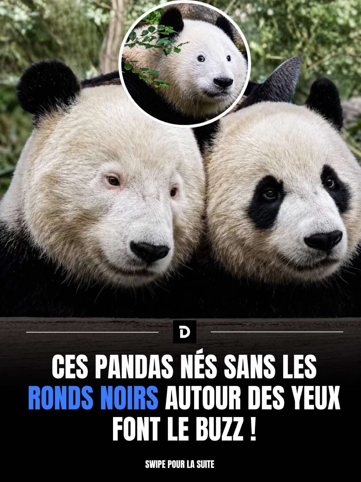 @Demotivateur