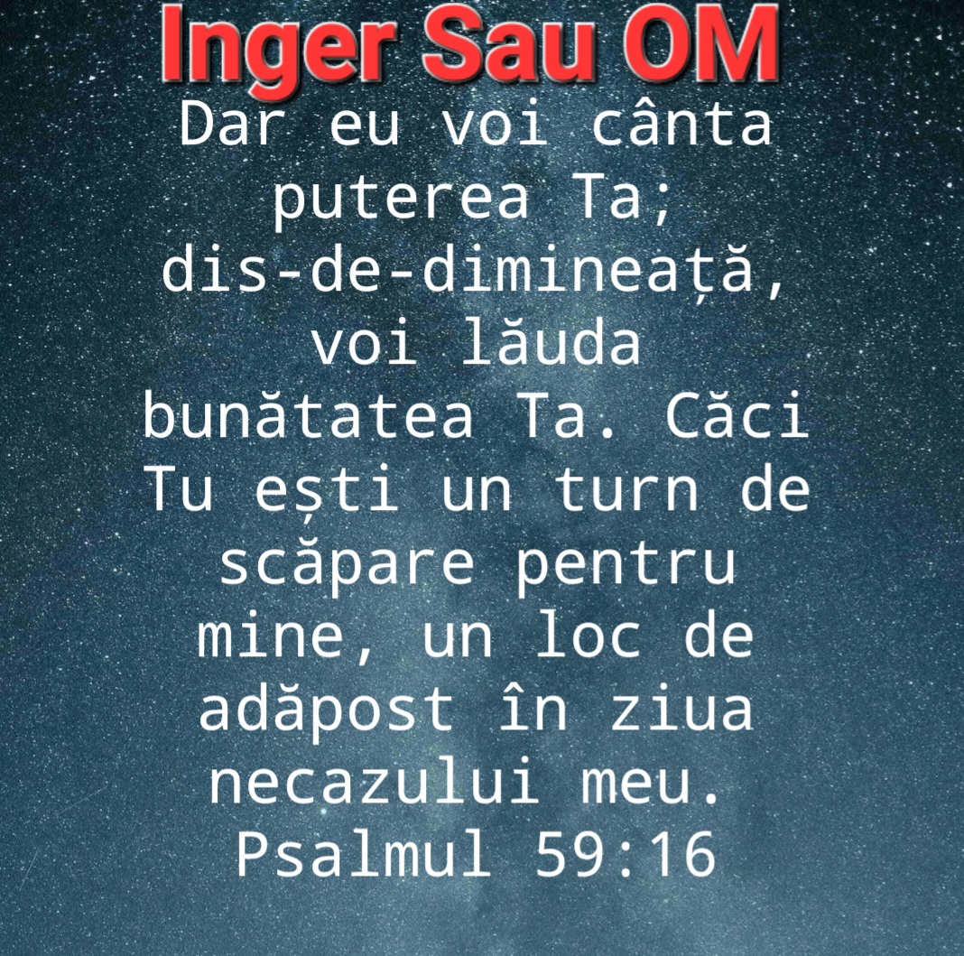@DAN._.Inger.Sau.OM