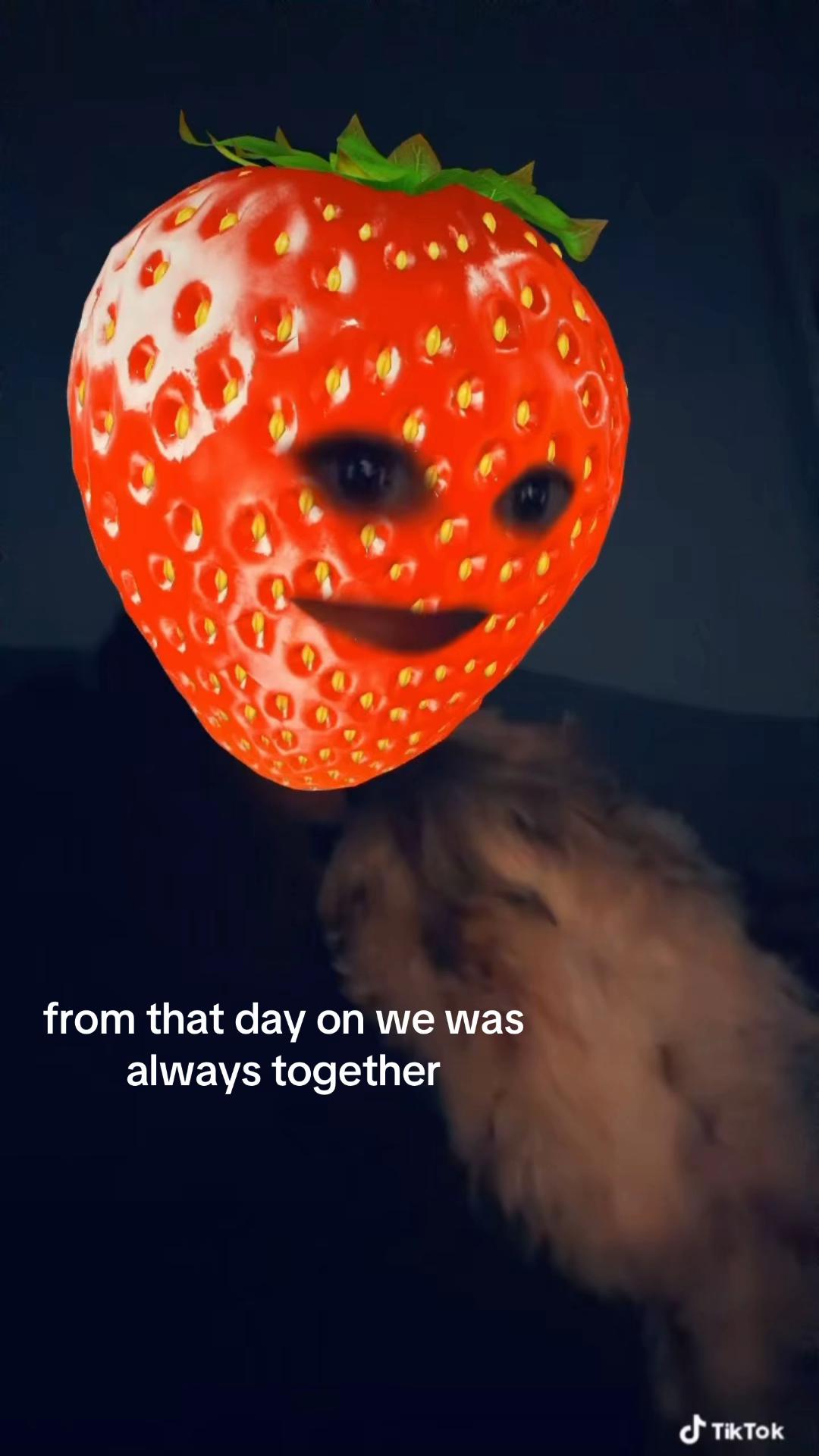 @aoife🫶🏻
