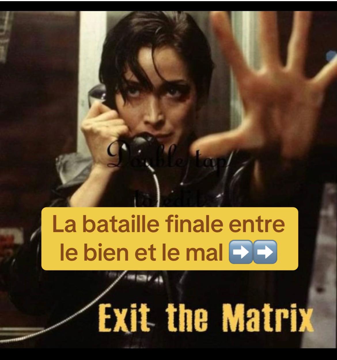 @stella