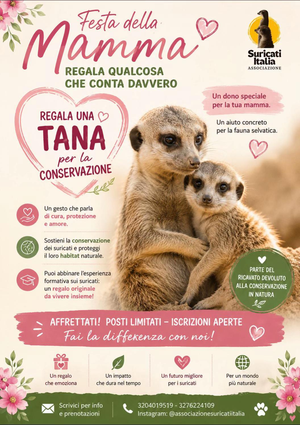 @Alessia Taurchini