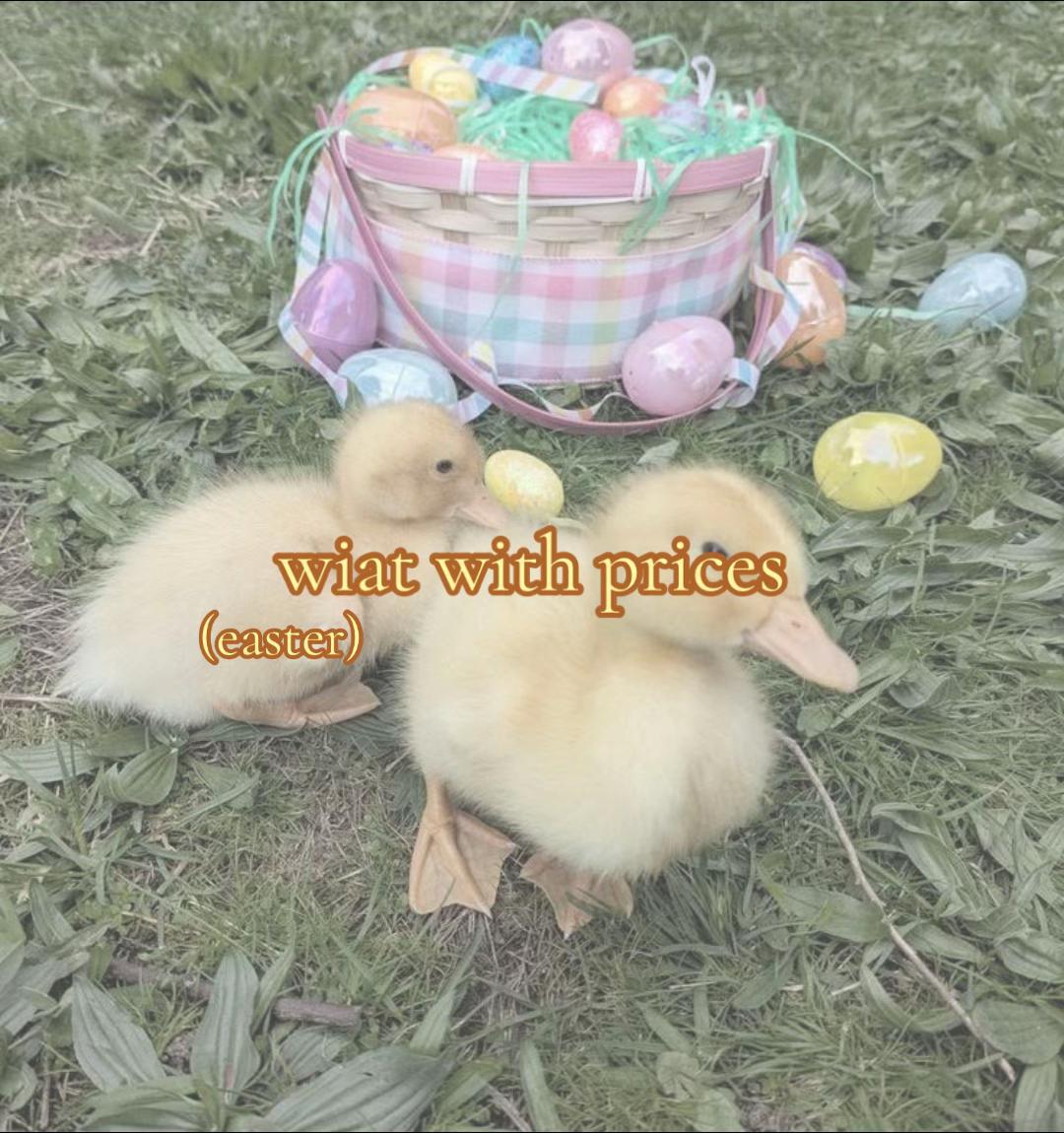 @faerie