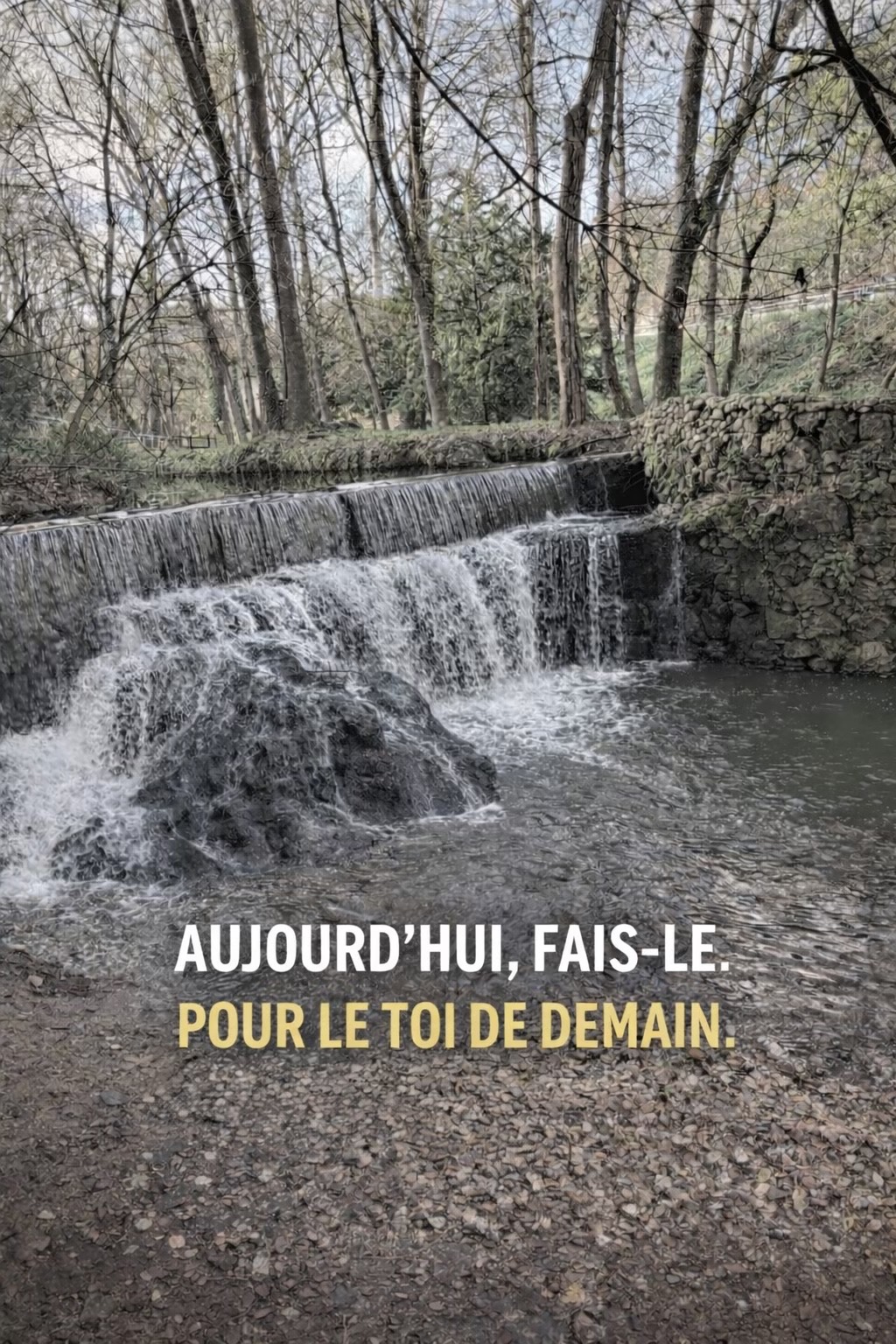@LA V&Eacute;RIT&Eacute; 〽️