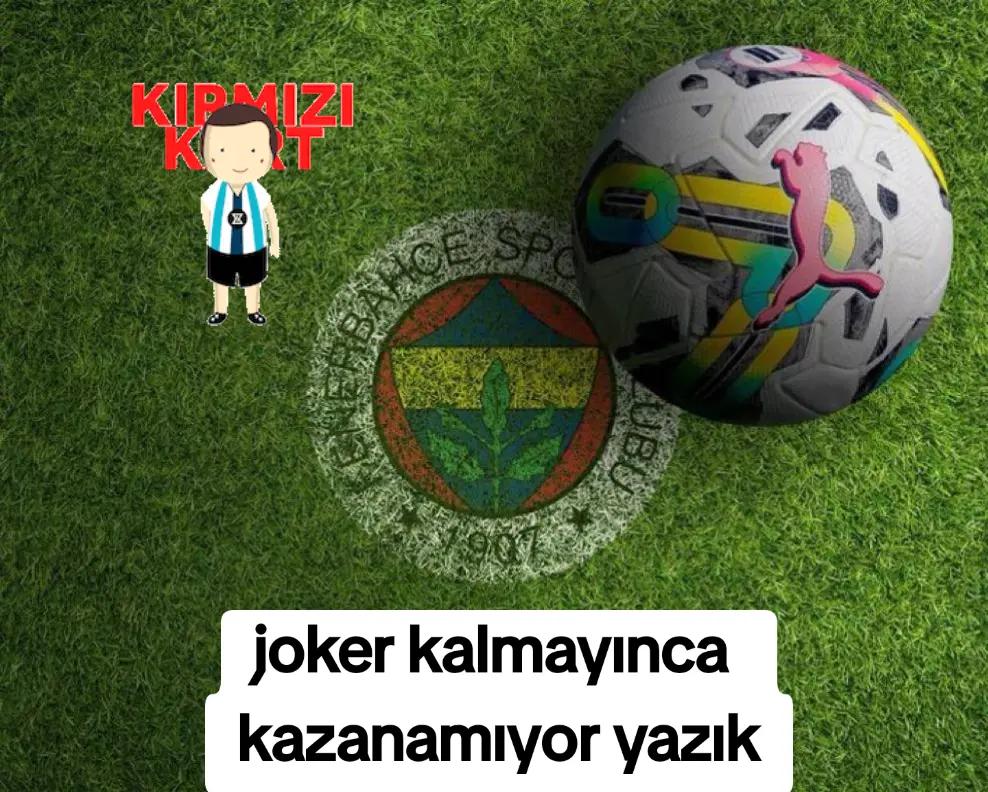 @dlnaydn