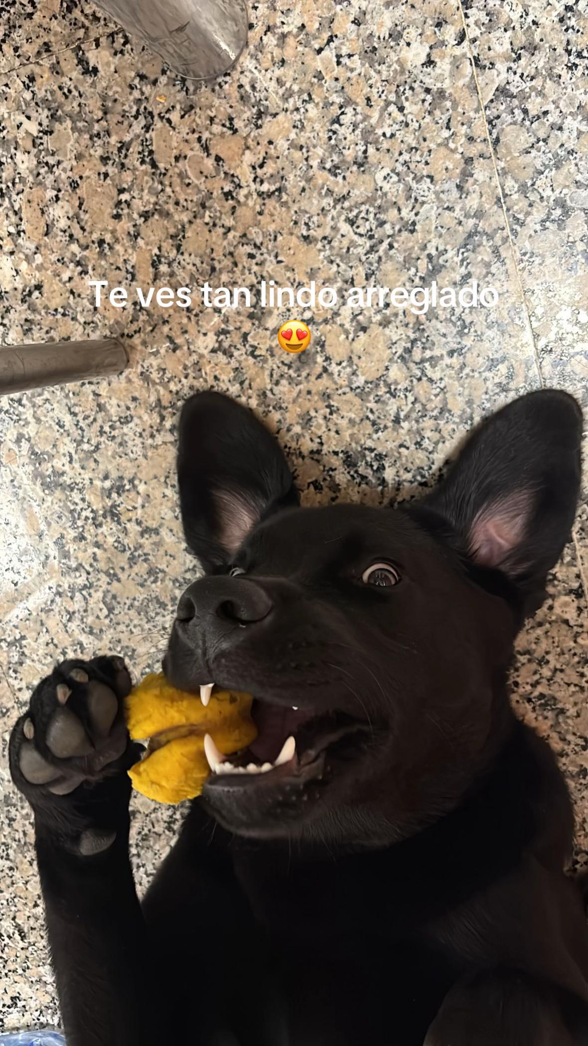 @ferpoza16