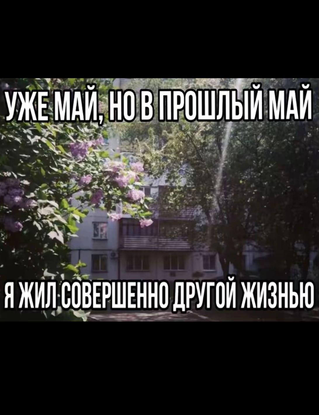 @зарежу за монстер