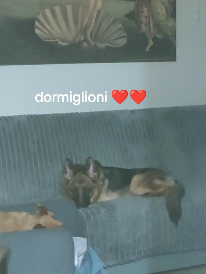@Lucrezia