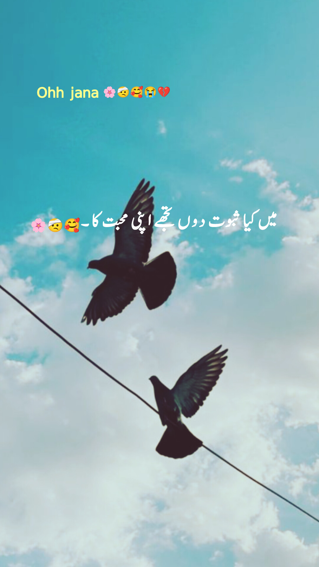 @شاعر