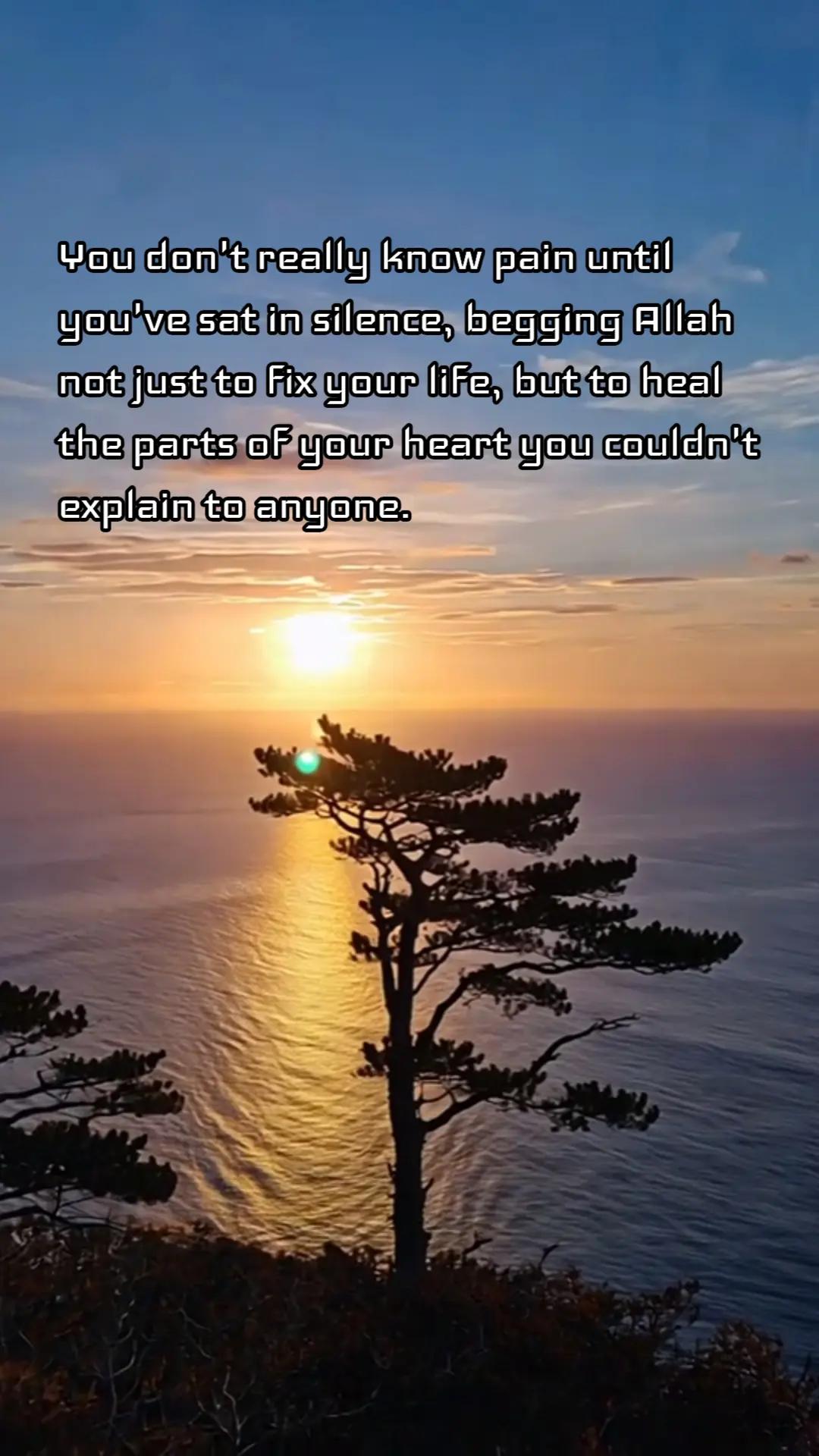 @Findingpeace
