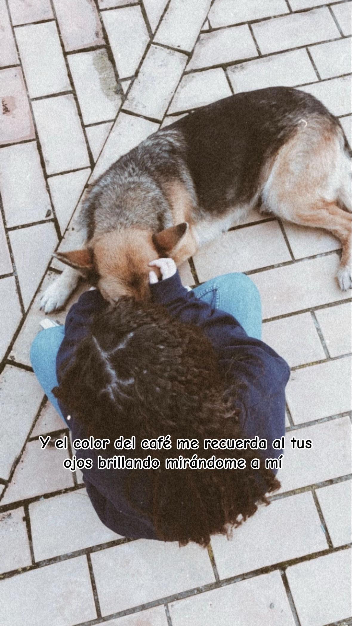 @Nerea 2.0