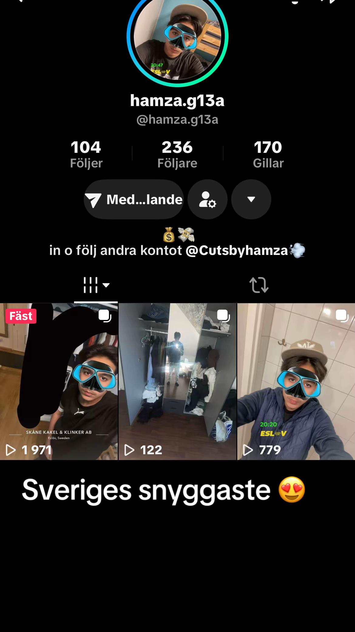 @sverigessnyggastejao