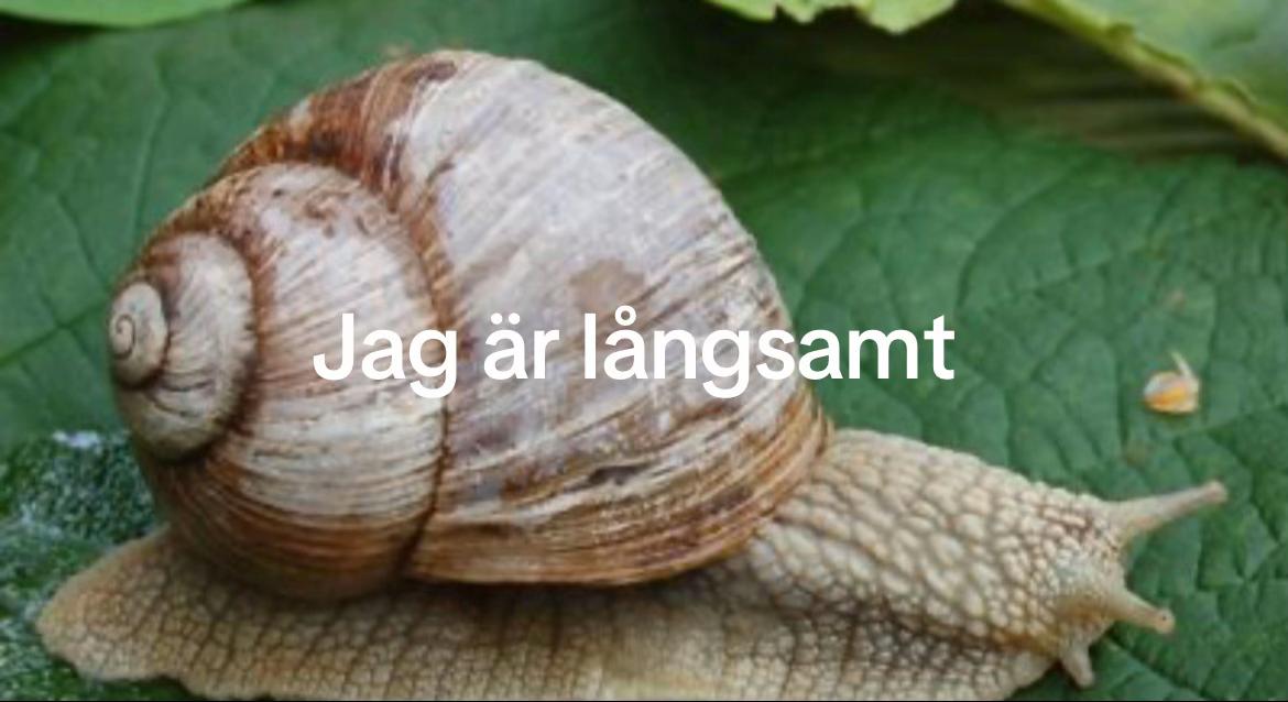 @Spam❤️🫶🏻😘🤫