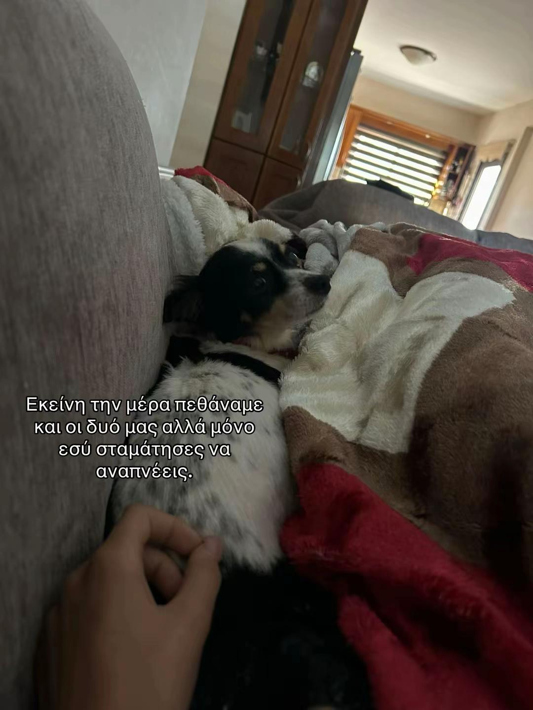 @nanasspammm