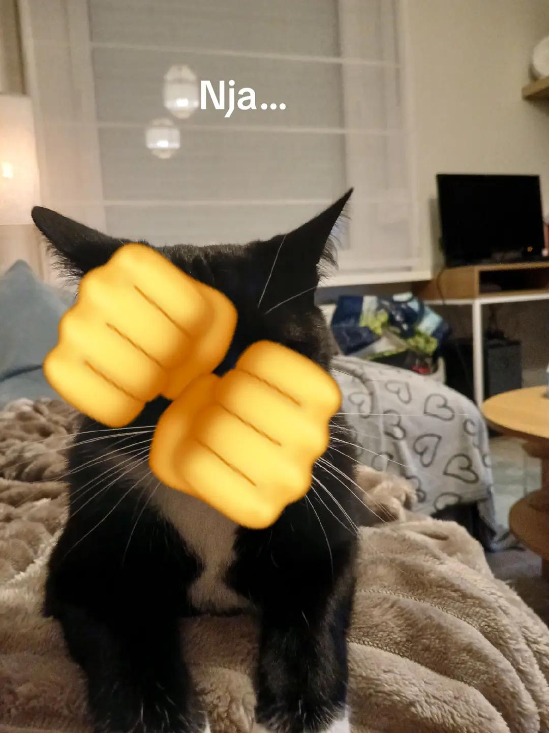 @Yohnene.
