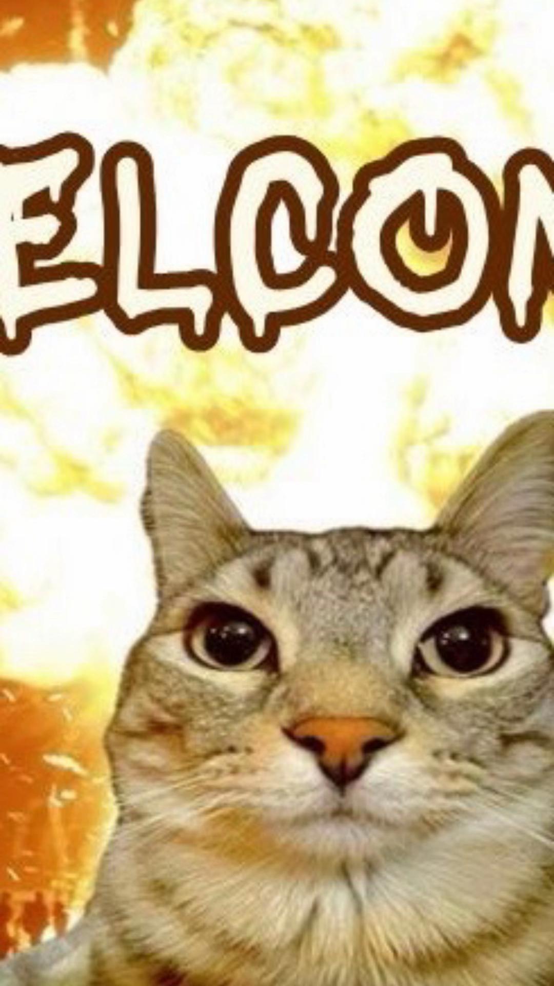 @👻 -=[Sethy]=- 🎃