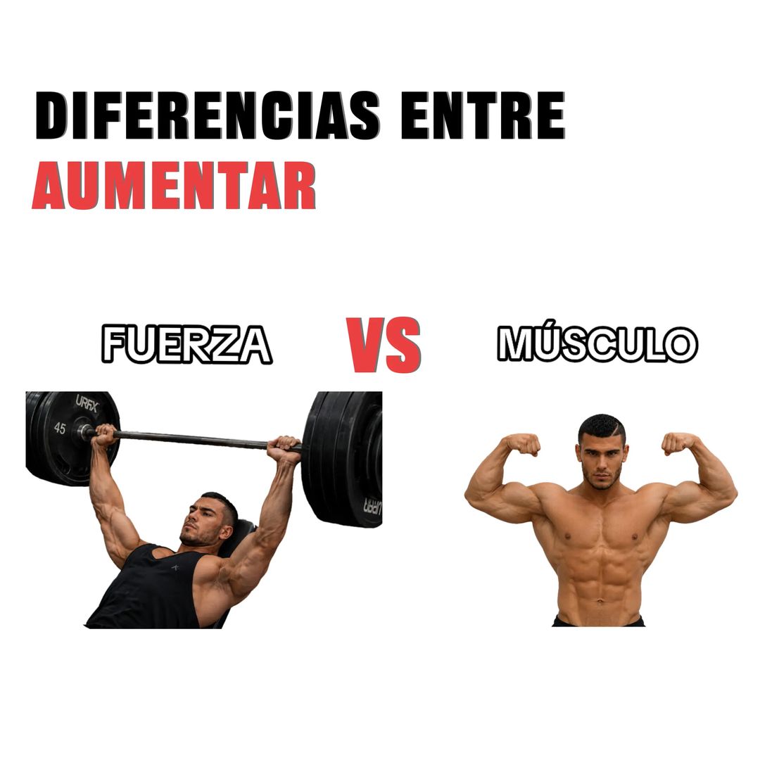 @FitnessRZ 🧬