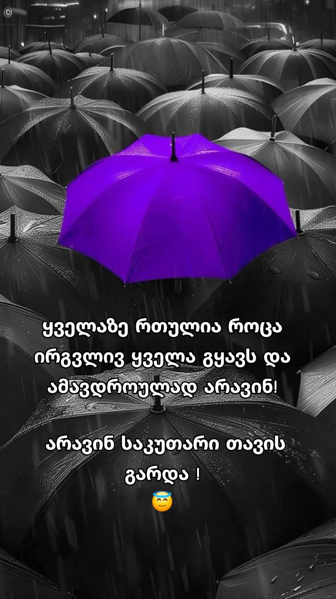 @TEKO๐ฆ๐ค