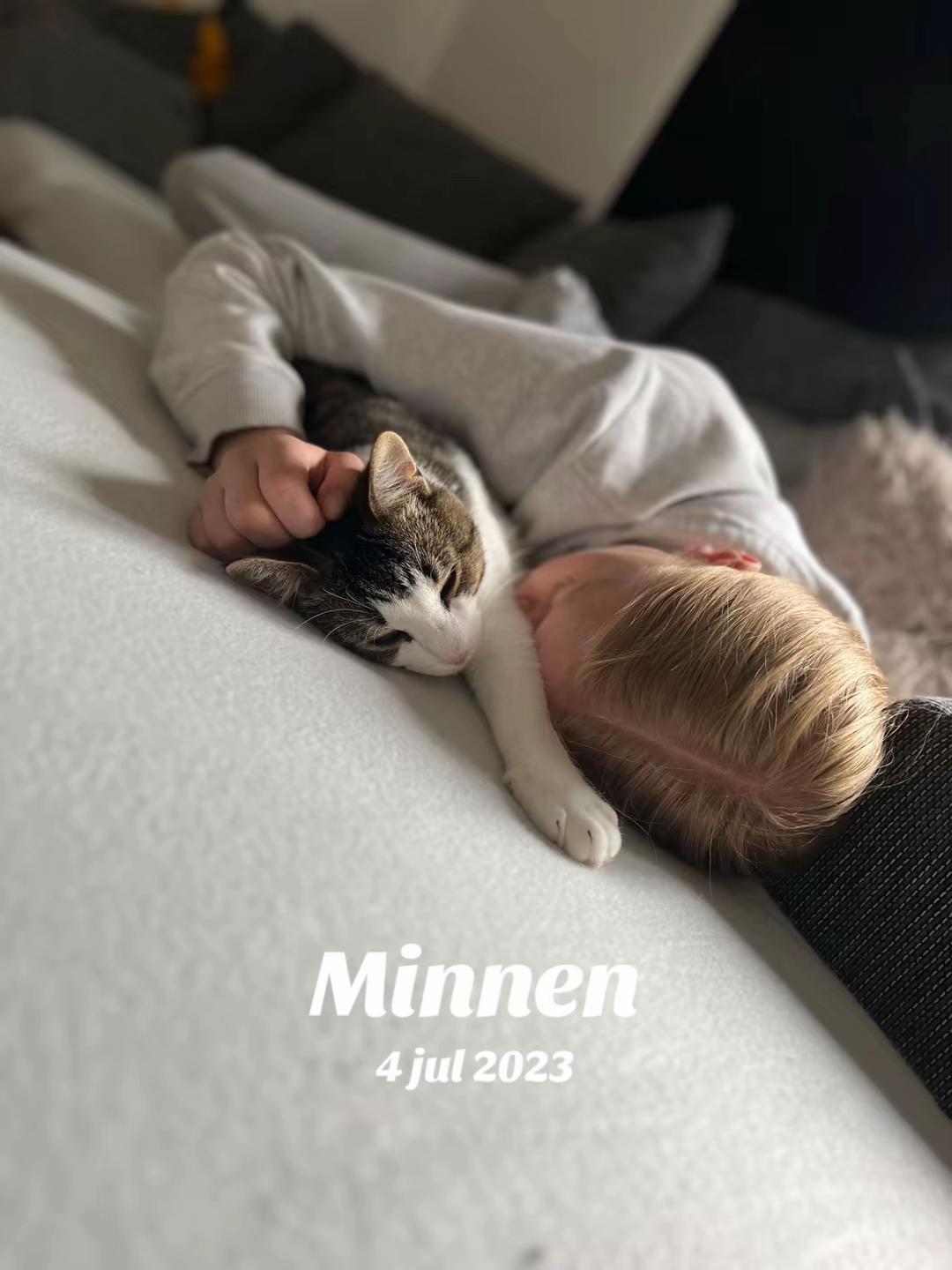 @Oliviatorngren