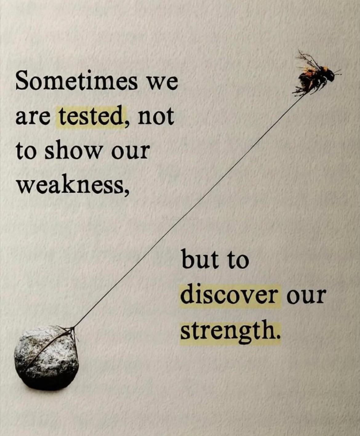 @vulnerableveterans