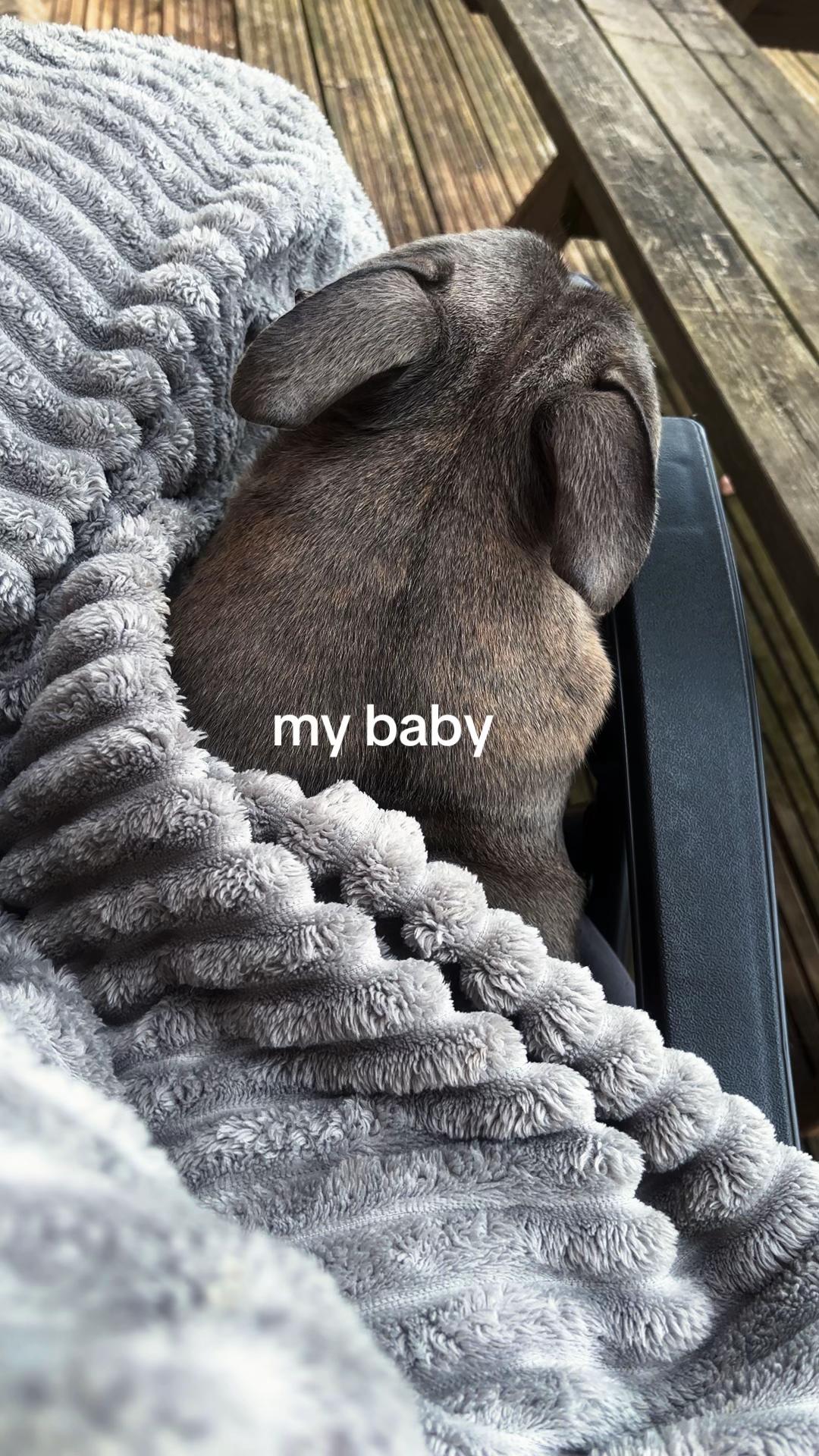 @ellie