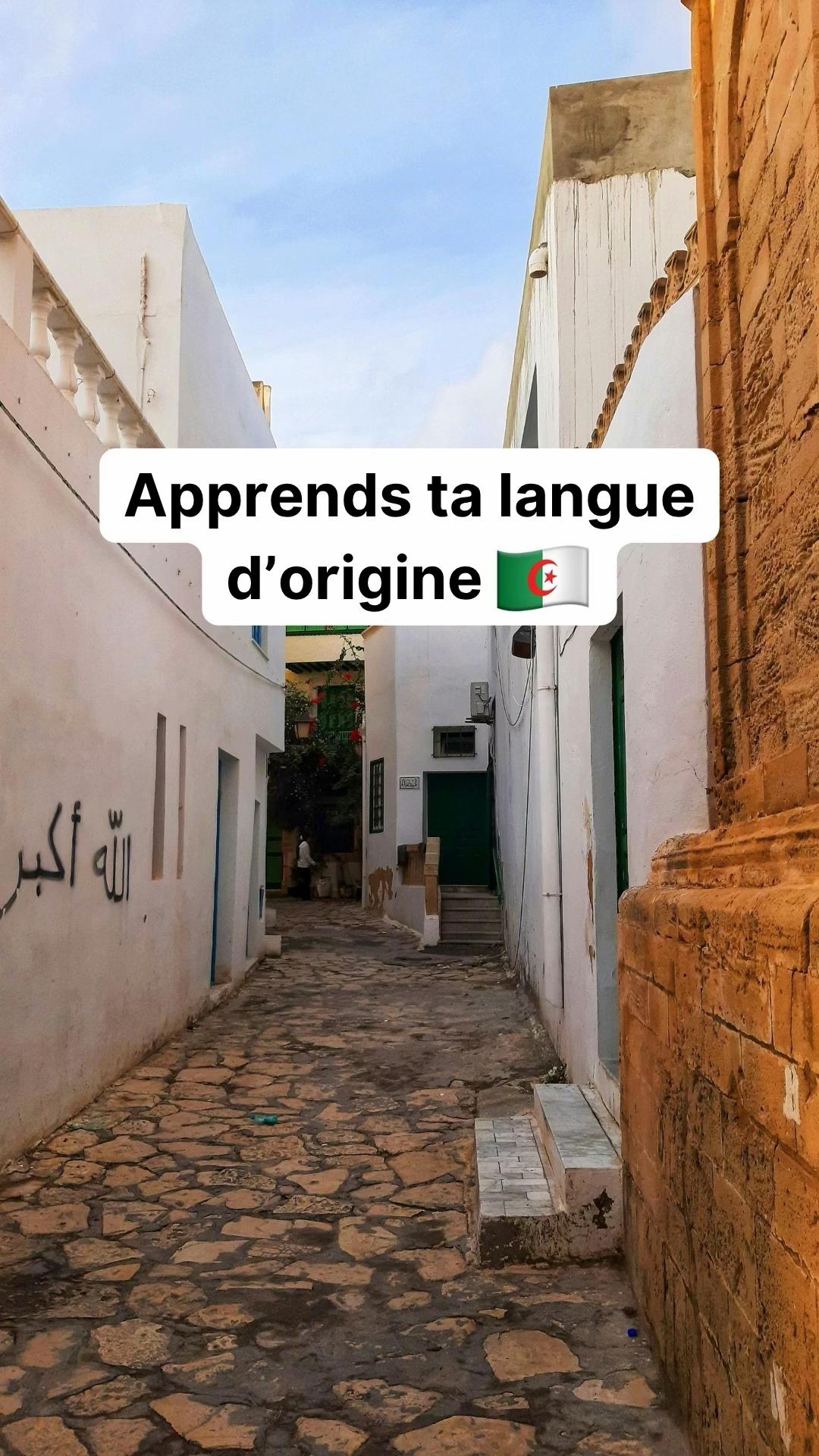 @parler_algerien