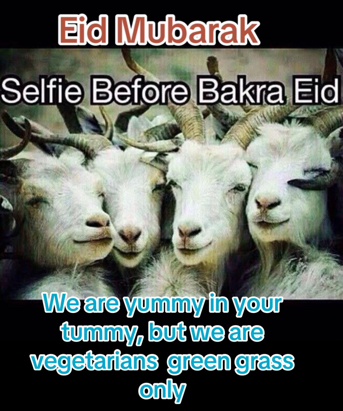 @Veer Nadim Mohammed