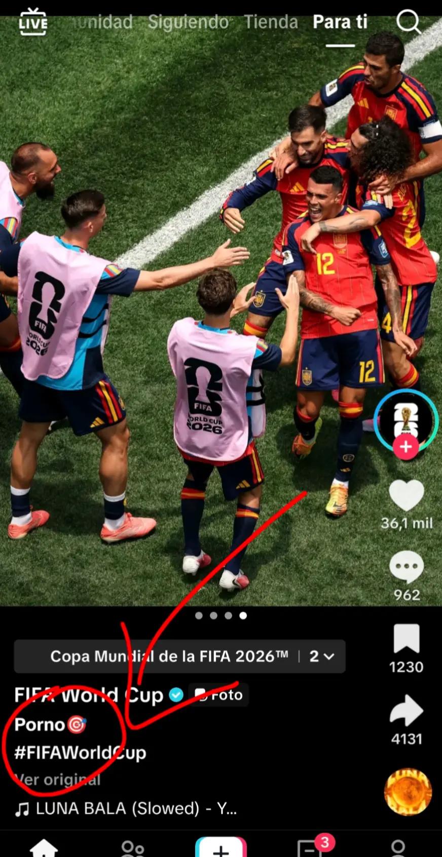 @Futbol madera88