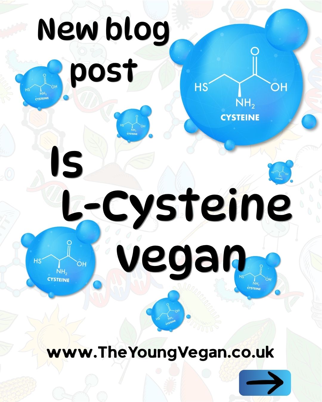 @#theyoungvegan.co.uk