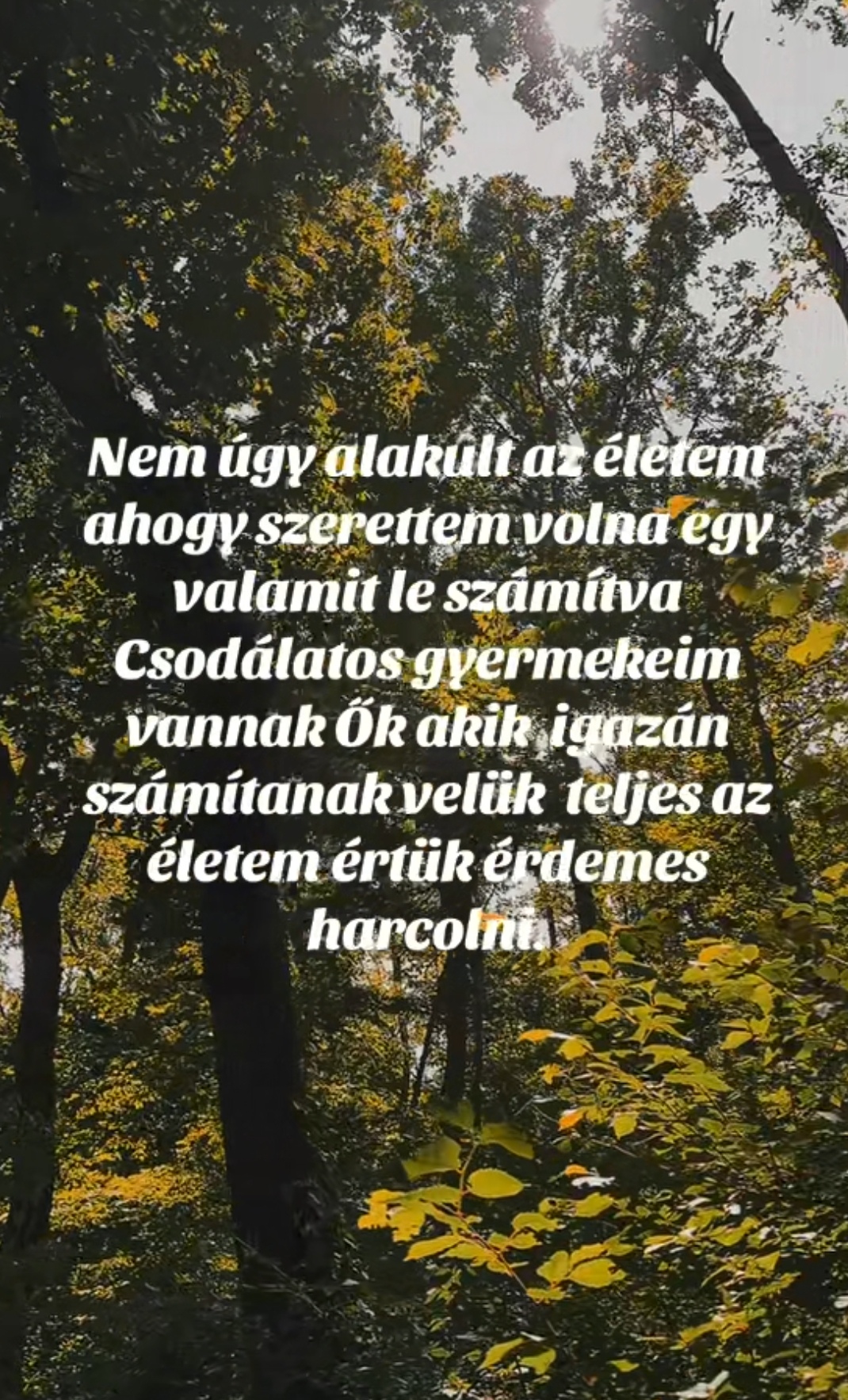@Meнди