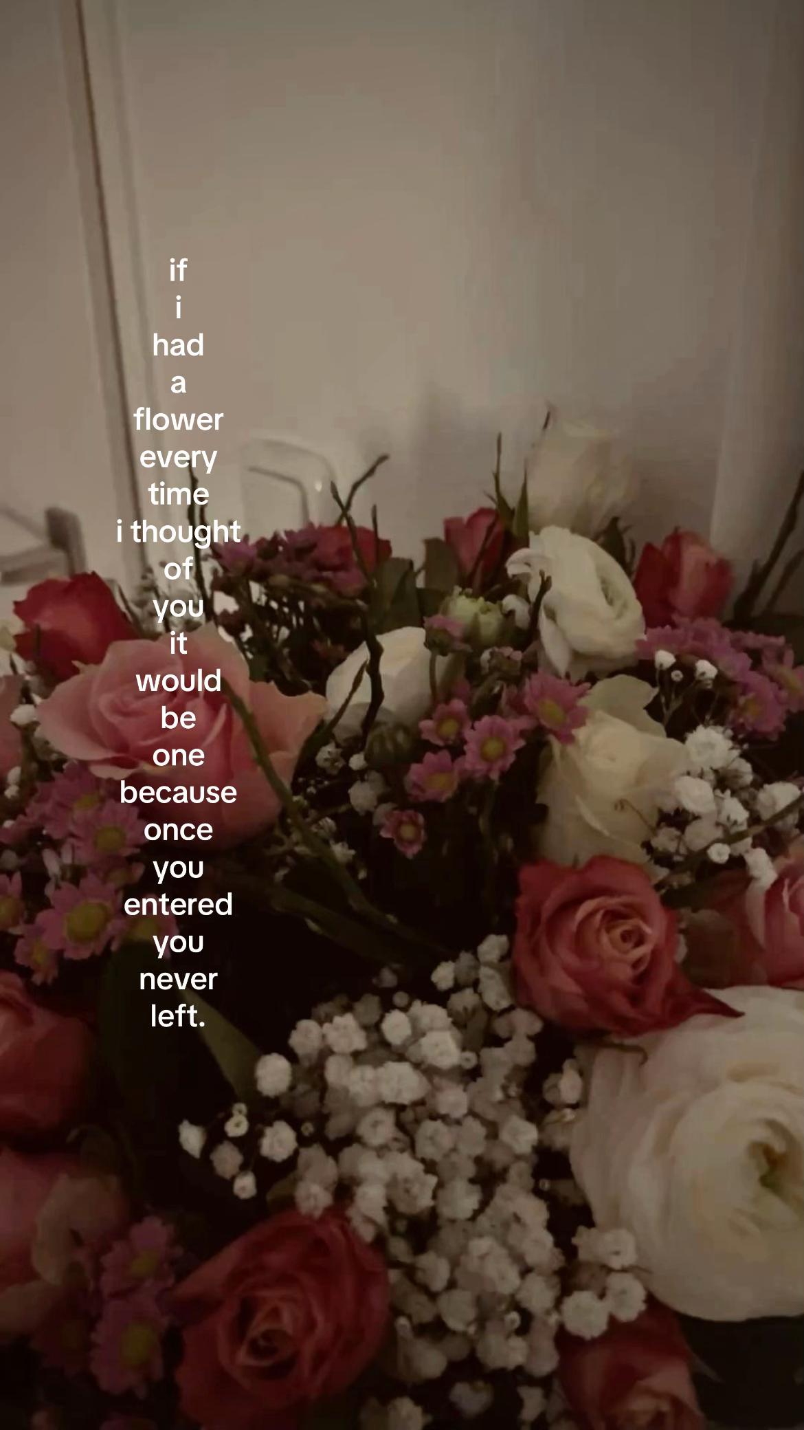 @evie ★