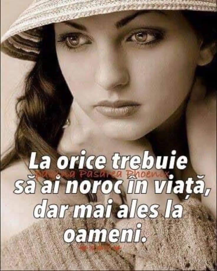@Luci Luci