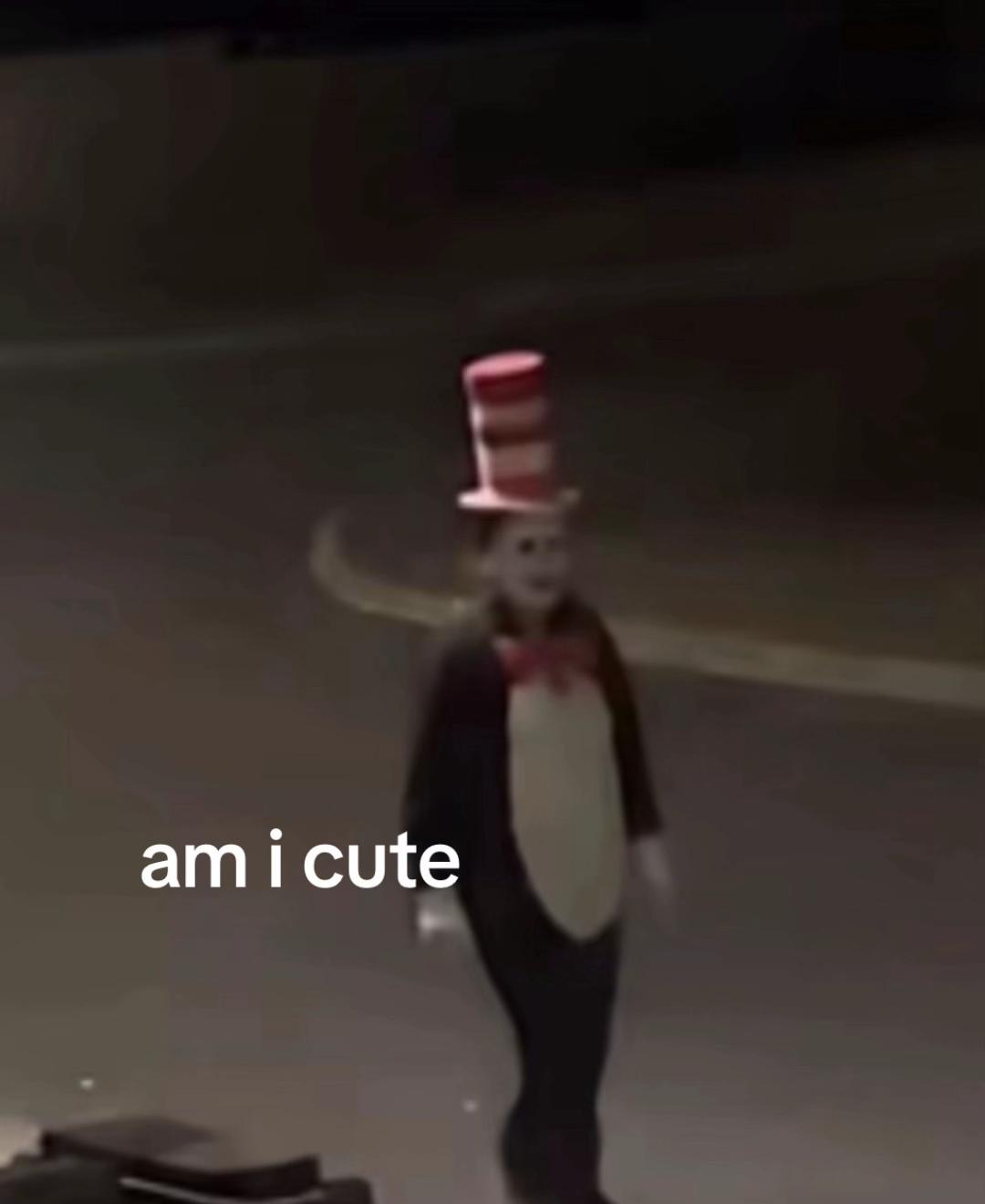 @cat in the hat😈