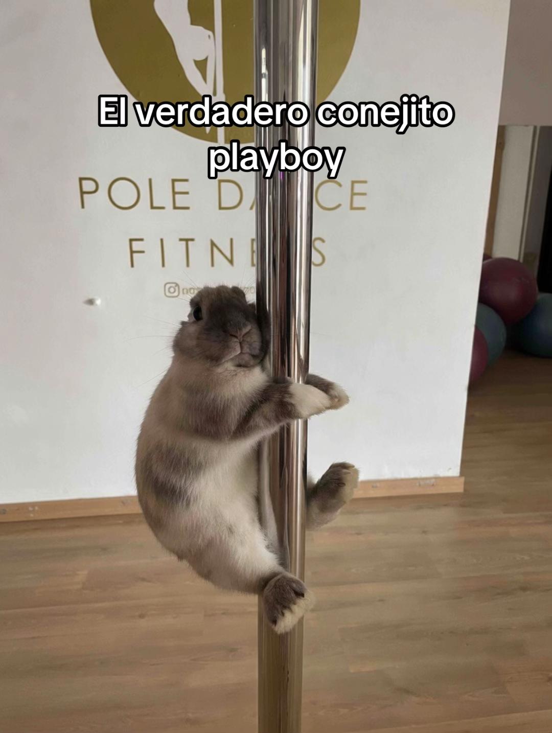 @Enamorada del diablo