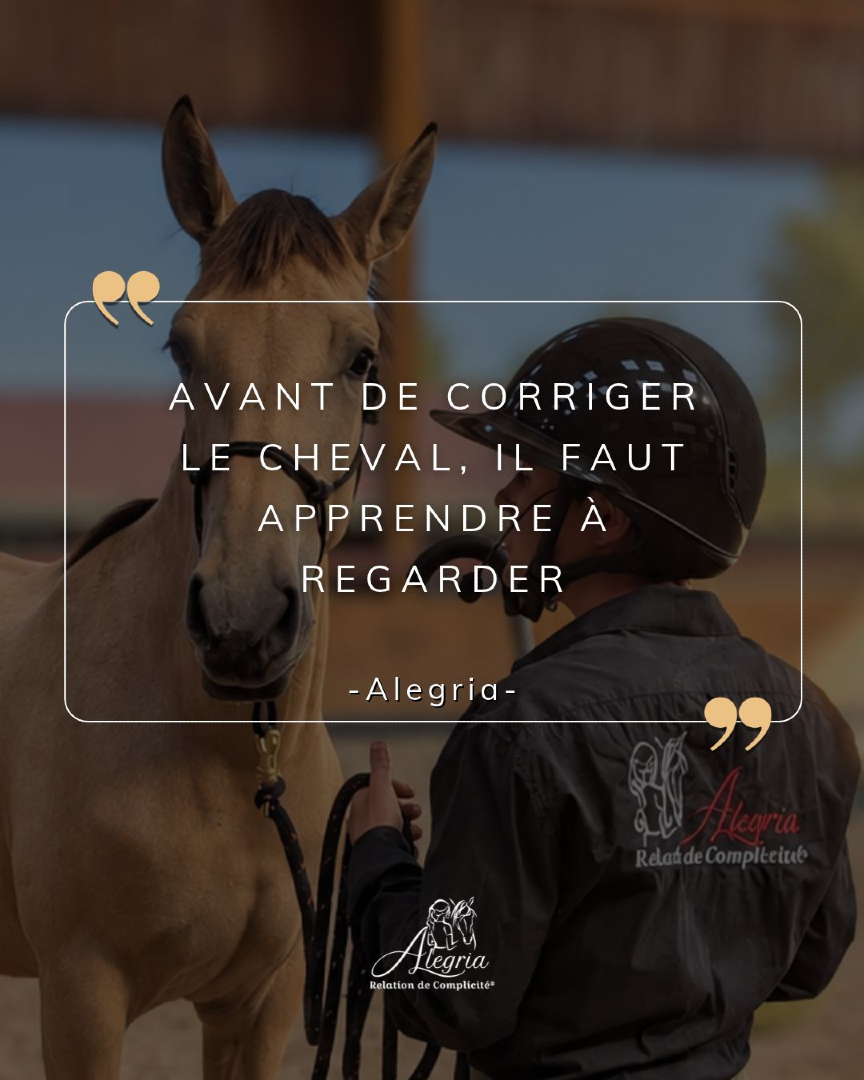 @Alegria Relation de Complicité