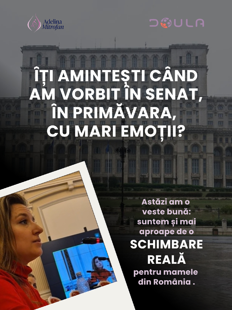 @Adelina Mitrofan