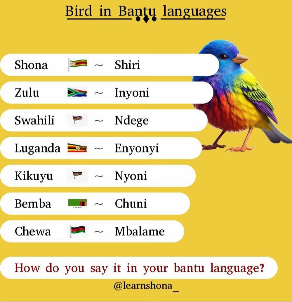 @Learn Shona