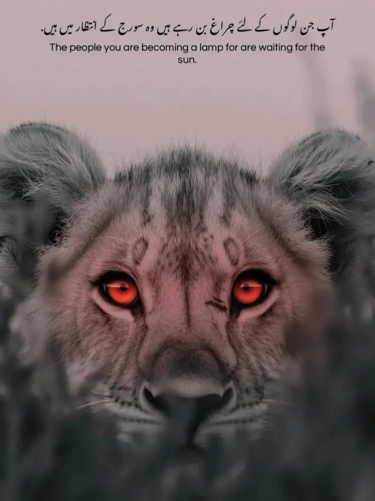 @(جواد)☠️☠️ج-وـ-ا-د🤫👀