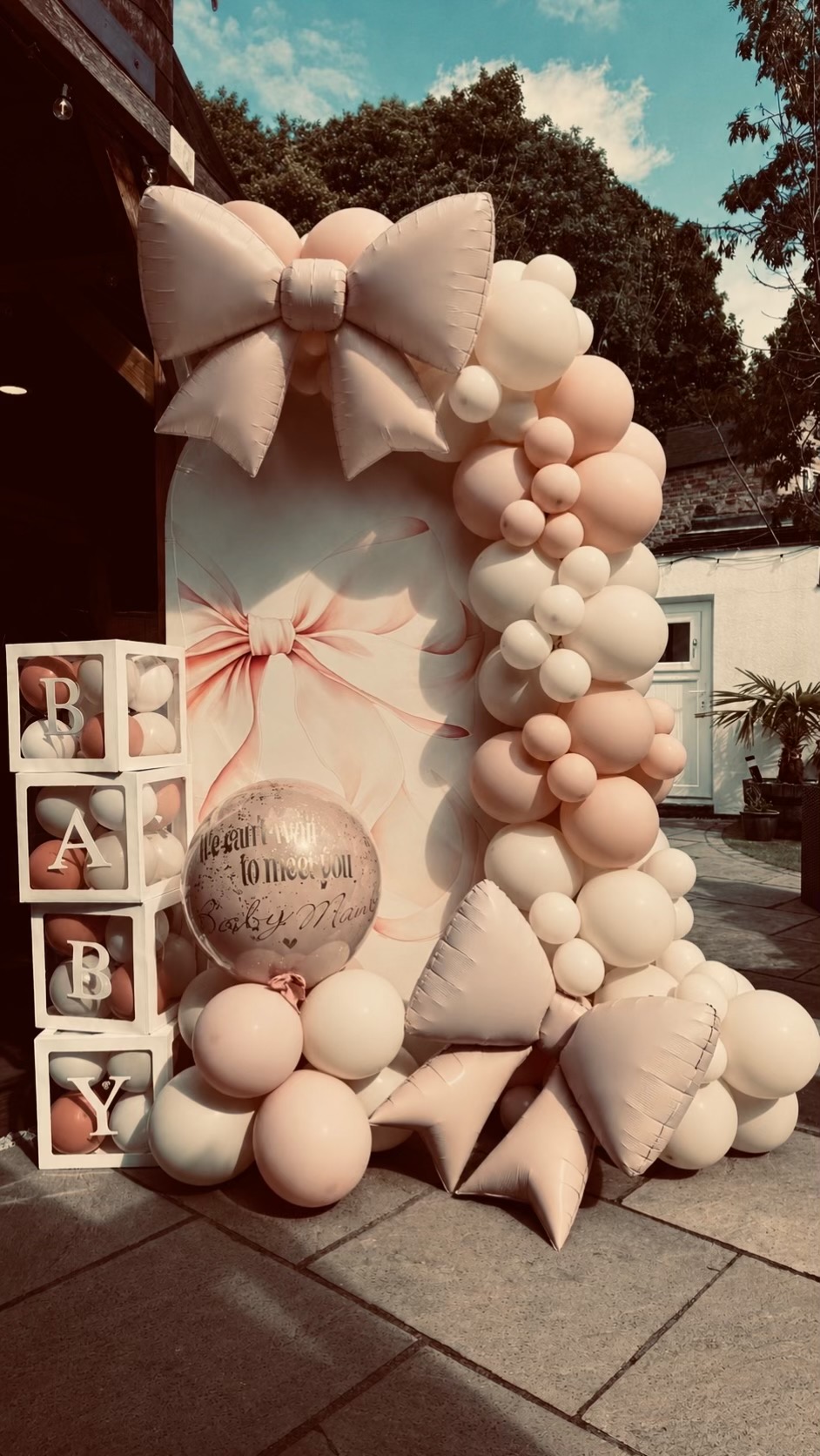 @๐ฏโฌ