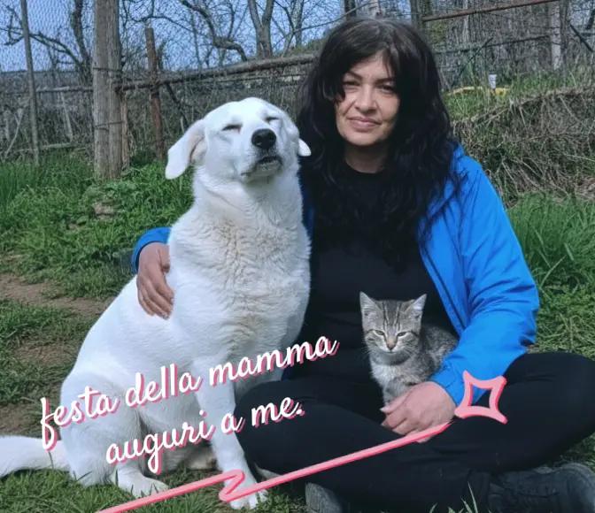@Amo il lupo tutti gli animali