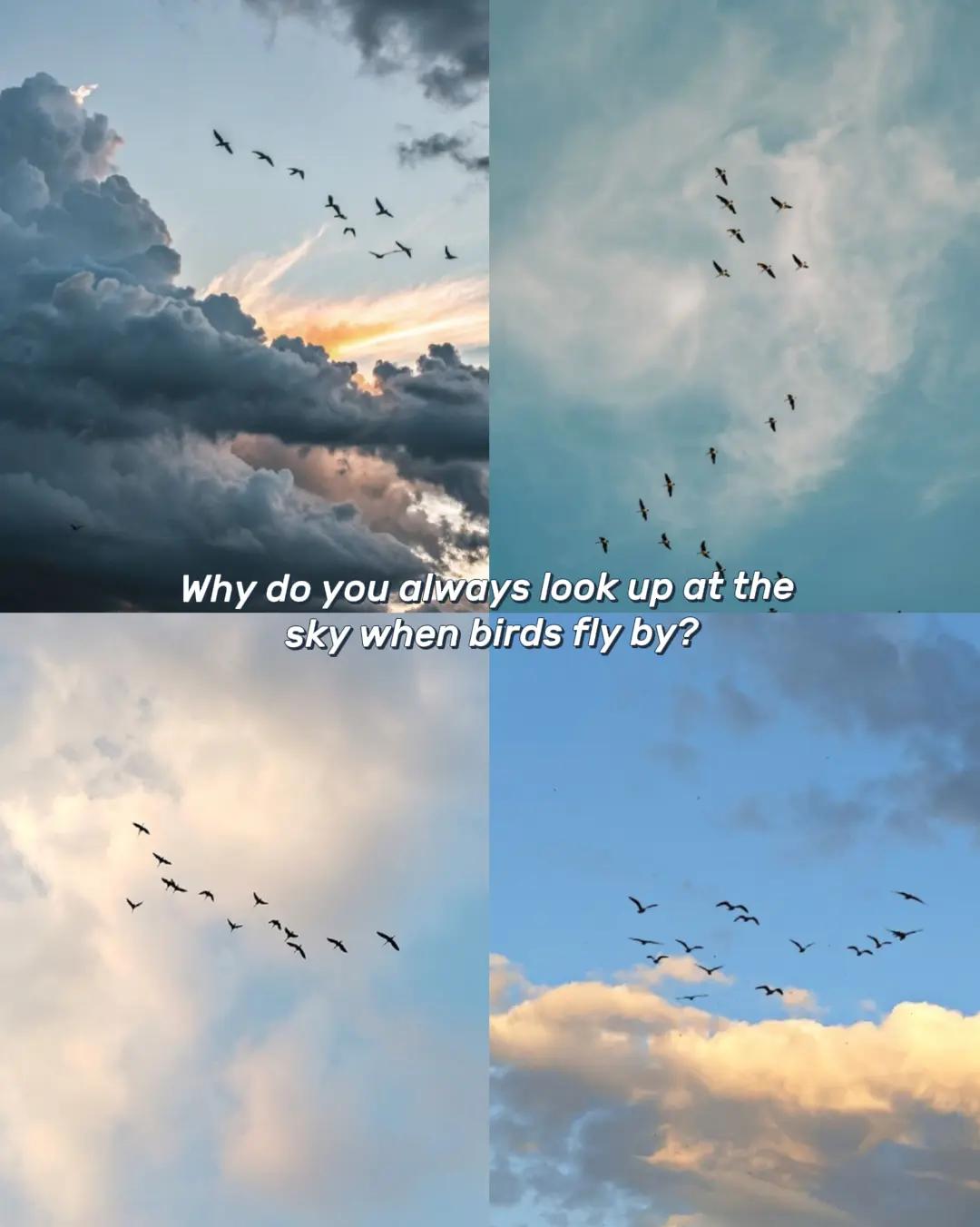 @𝕙𝕚𝔭𝔭𝕚𝐁𝐎𝓝ģ🥦ɞ
