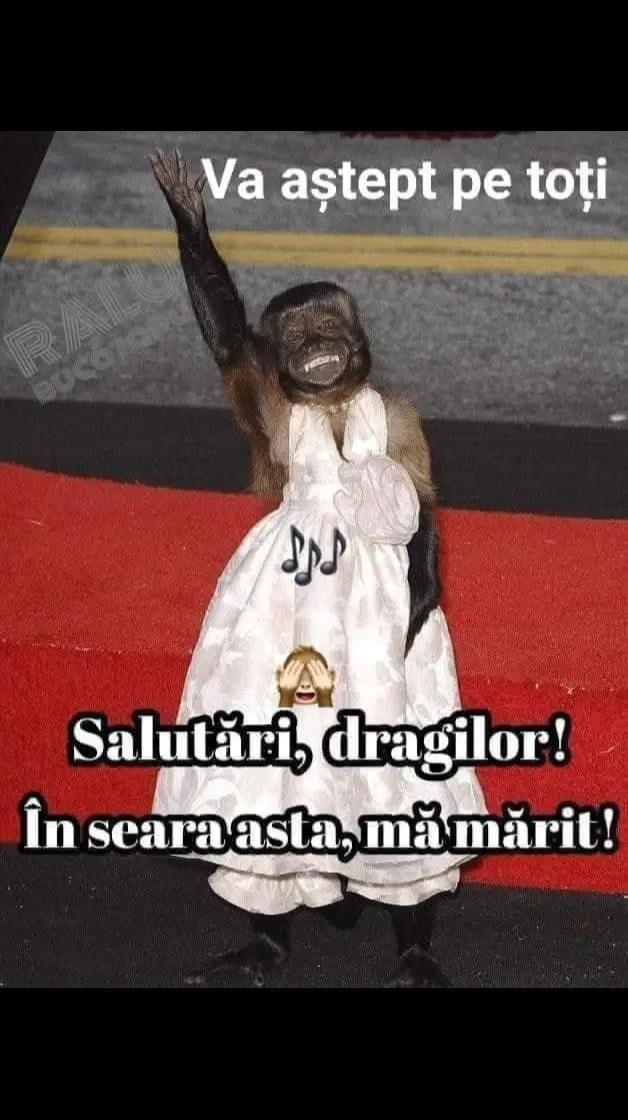 @Cristina